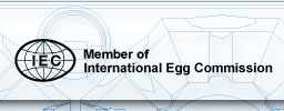 International Egg Comission